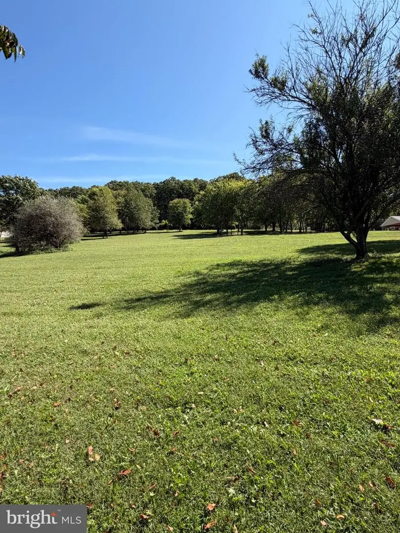 664 Mid Haines Rd, Augusta, WV 26704 - #2