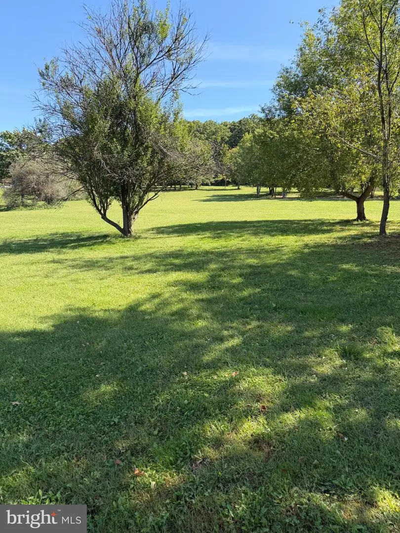 664 Mid Haines Rd, Augusta, WV 26704 - #3