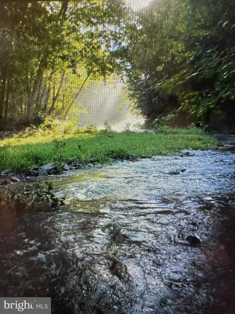 9184 Cold Stream Rd, Capon Bridge, WV 26711 - #1