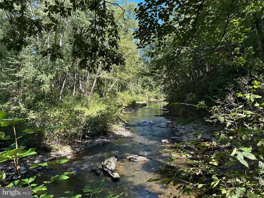 9184 Cold Stream Rd, Capon Bridge, WV 26711 - #3