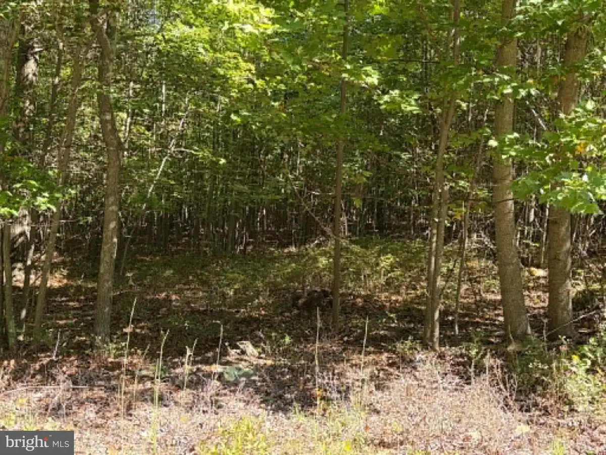 669 Capon Woods Resort Rd #lot 19, High View, WV 26808 - #1
