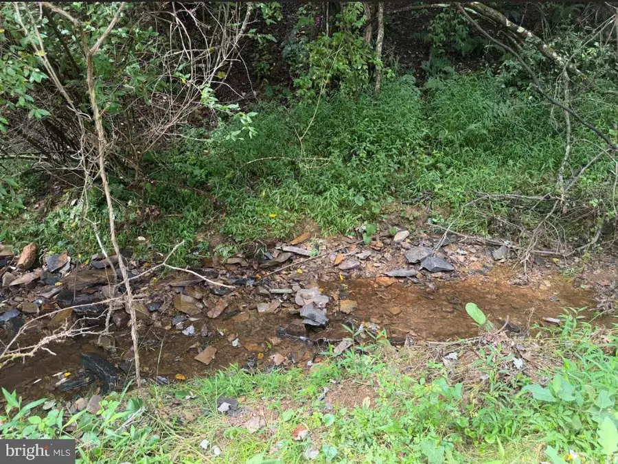 285 Clay Lick Ridge Rd, Rio, WV 26755 - #3