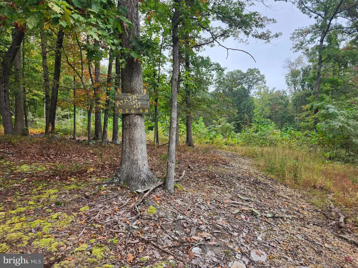 Lot 17 Quaker Lake Trl, Capon Bridge, WV 26711 - #1