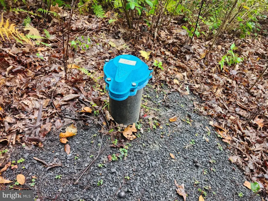 Lot 17 Quaker Lake Trl, Capon Bridge, WV 26711 - #3