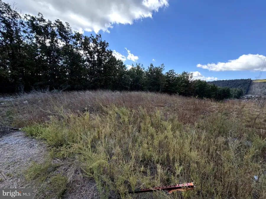 Lot 10b 35ac Reymann Drive, Yellow Spring, WV 26865 - #2