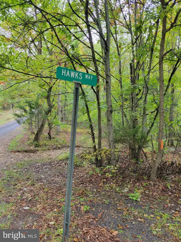 Hawks Way, DELRAY, WV 26714