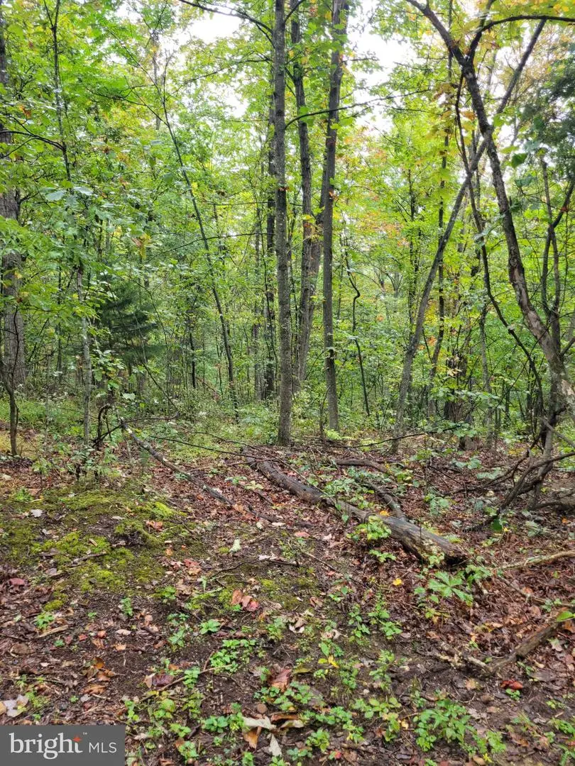 Hawks Way, Delray, WV 26714 - #2