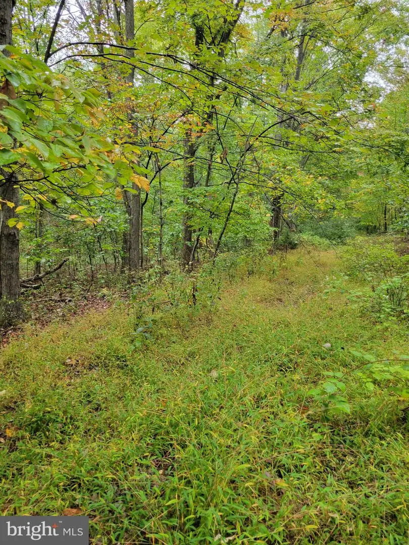 Hawks Way, Delray, WV 26714 - #3
