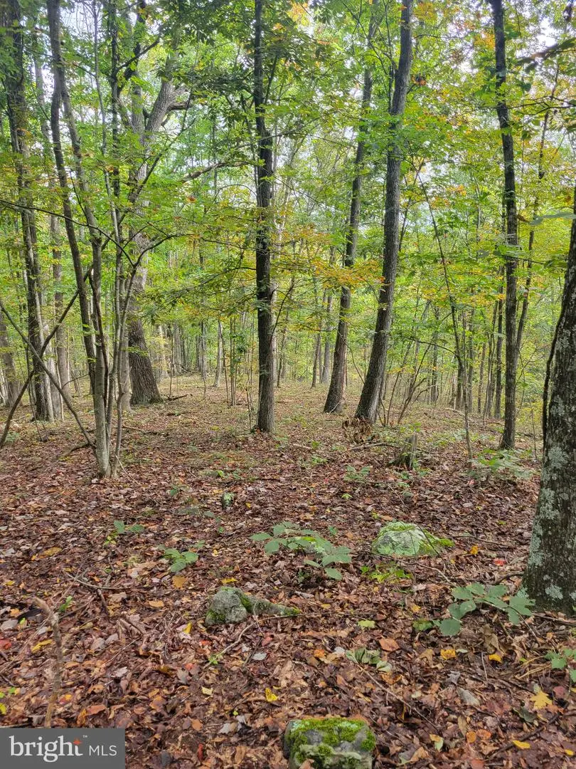 Bear Rd, Delray, WV 26714 - #1