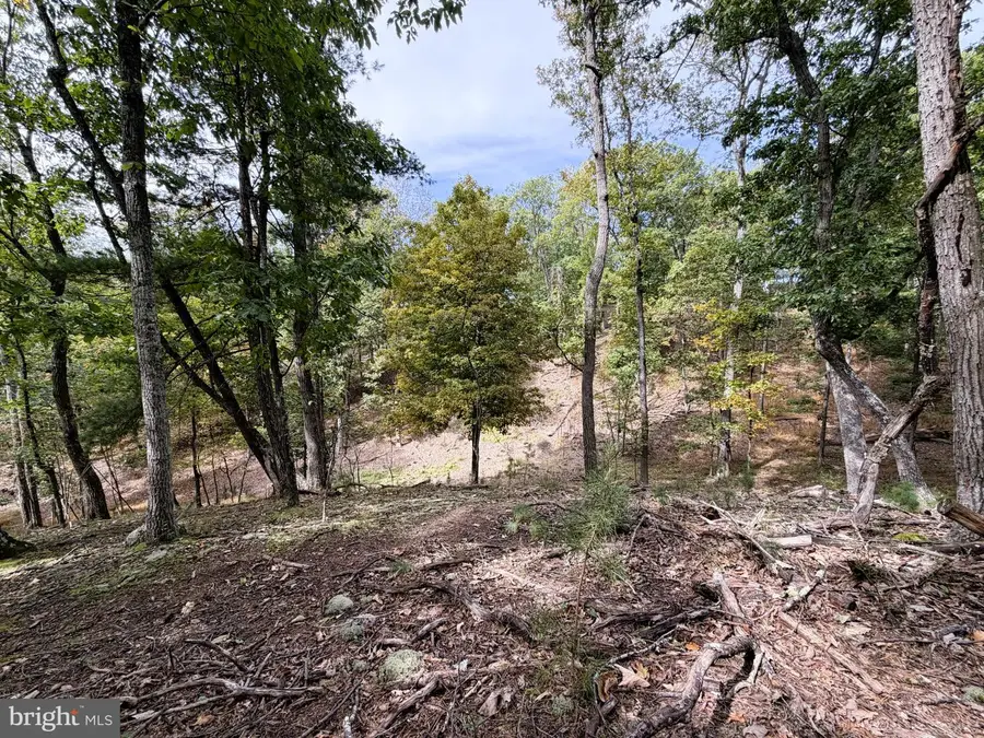 24 Long Acre Ests, Romney, WV 26757 - #3