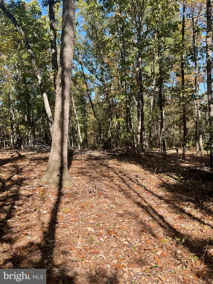 Tbd Miller Ln., Augusta, WV 26704 - #2