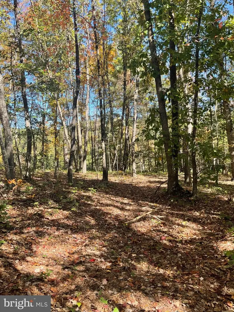 Tbd Miller Ln., Augusta, WV 26704 - #3