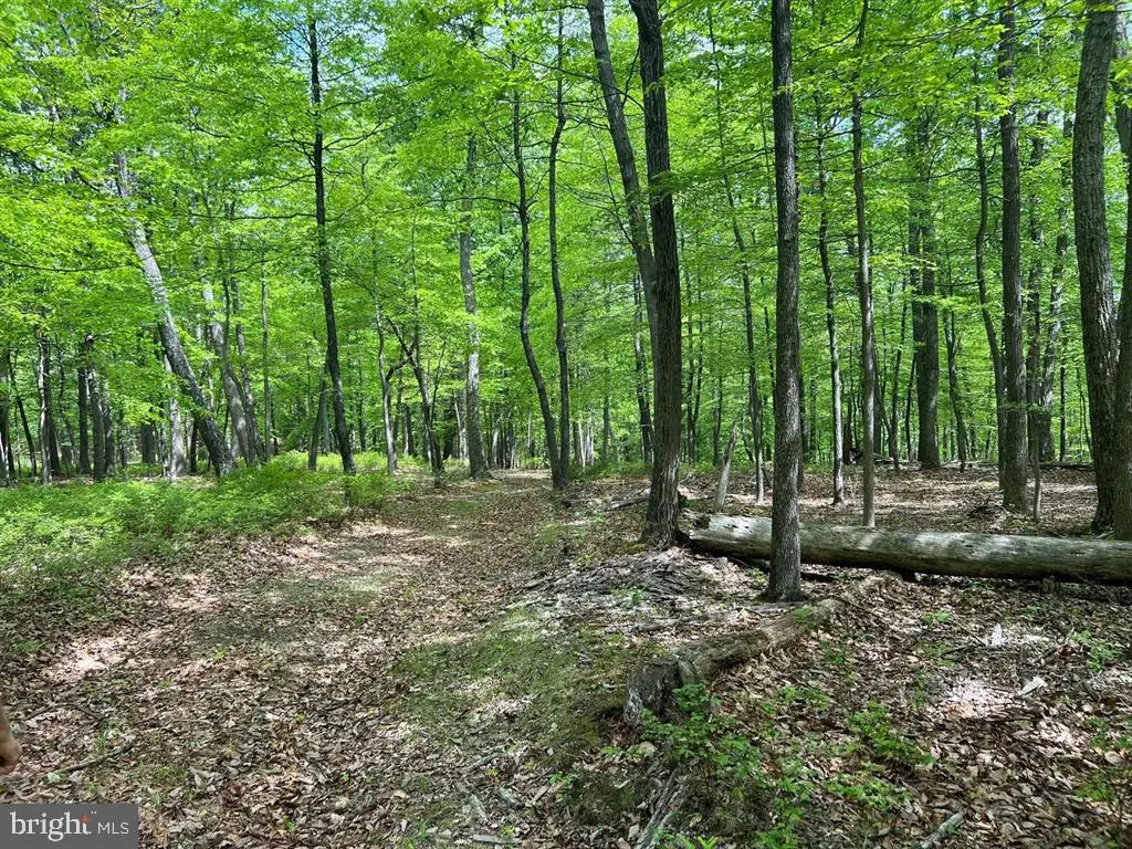 N North River Rd, Augusta, WV 26704 - #1