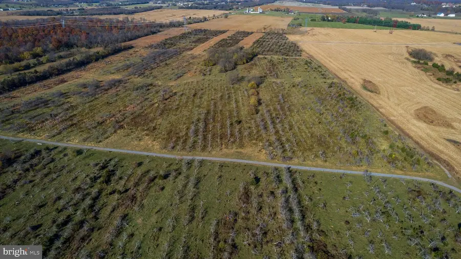 2481 Summit Point Rd, Summit Point, WV 25446 - Image #3