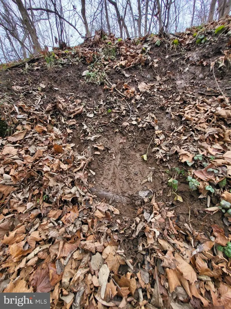Lot 29 & 30 Sugar Maple Ln, Harpers Ferry, WV 25425 - Image #3