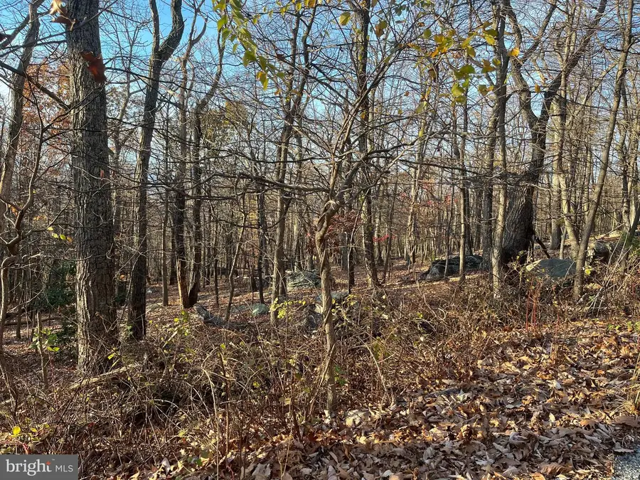 Stone Ridge Rd, Harpers Ferry, WV 25425 - Image #3