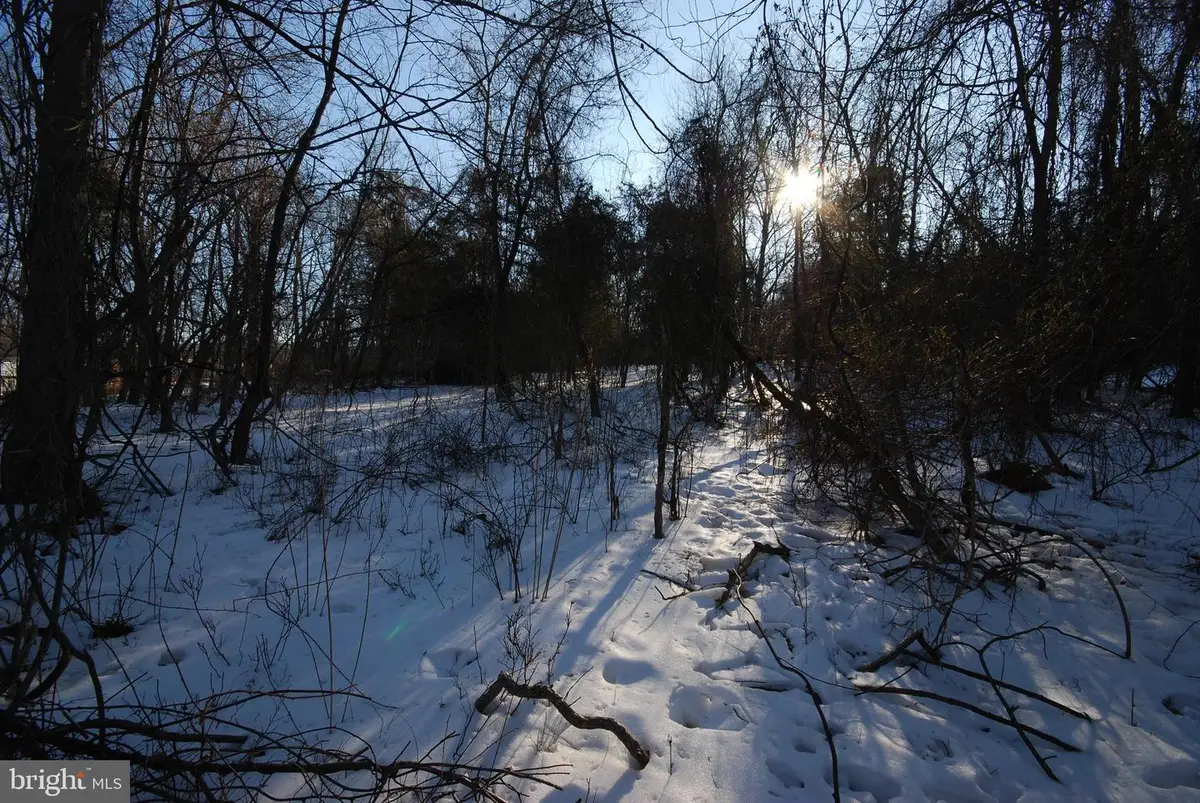 Lot 141a & 154a Wild Dogwood Ln, Harpers Ferry, WV 25425 - #1