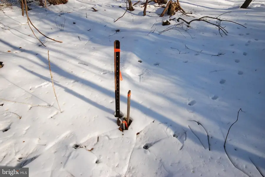 Lot 141a & 154a Wild Dogwood Ln, Harpers Ferry, WV 25425 - #2