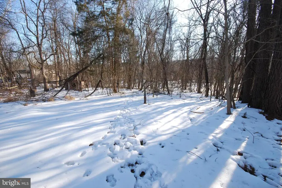 Lot 141a & 154a Wild Dogwood Ln, Harpers Ferry, WV 25425 - #3