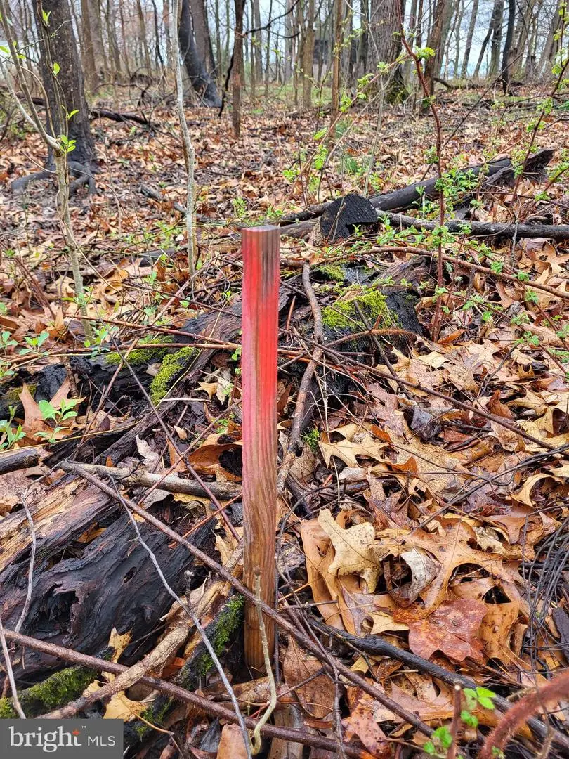 Bear Run, Harpers Ferry, WV 25425 - #2