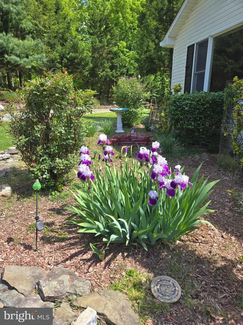 58 Branchy Rd, Harpers Ferry, WV 25425 - #3