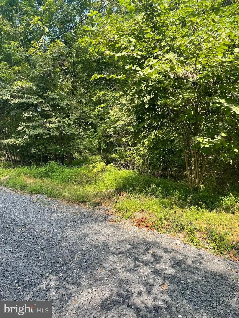 Lot 22 Robin Ln, Harpers Ferry, WV 25425 - #2