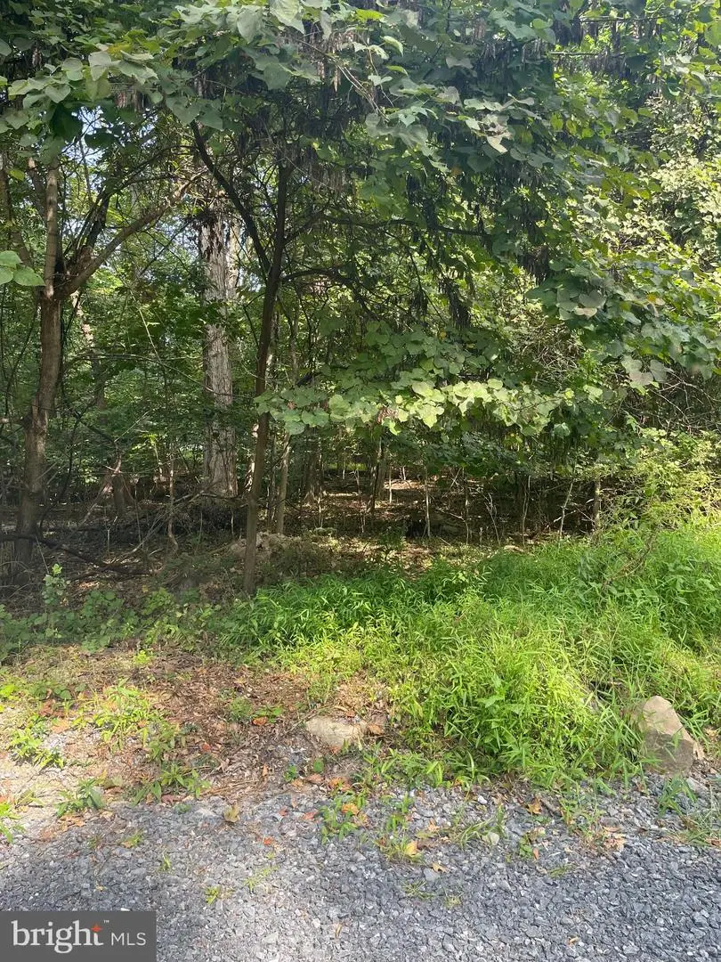 Lot 22 Robin Ln, Harpers Ferry, WV 25425 - #3