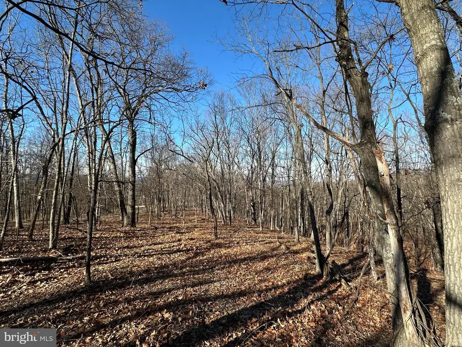 Lot # 23 Mountain Home Sd, Fort Ashby, WV 26719 - #2
