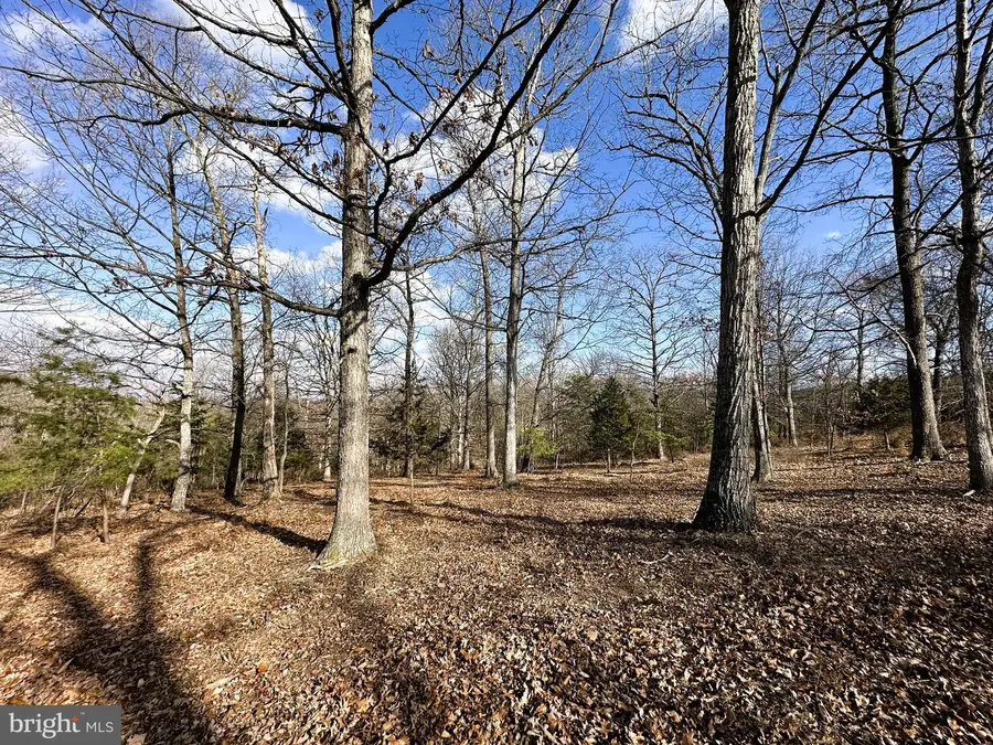 44 Bluffs On The Potomac, Fort Ashby, WV 26719 - #3