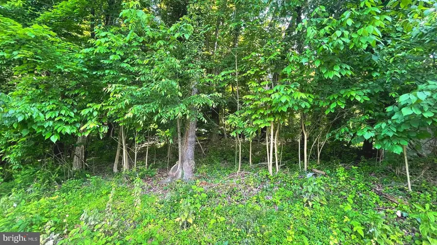 Miller Rd, Ridgeley, WV 26753 - #2