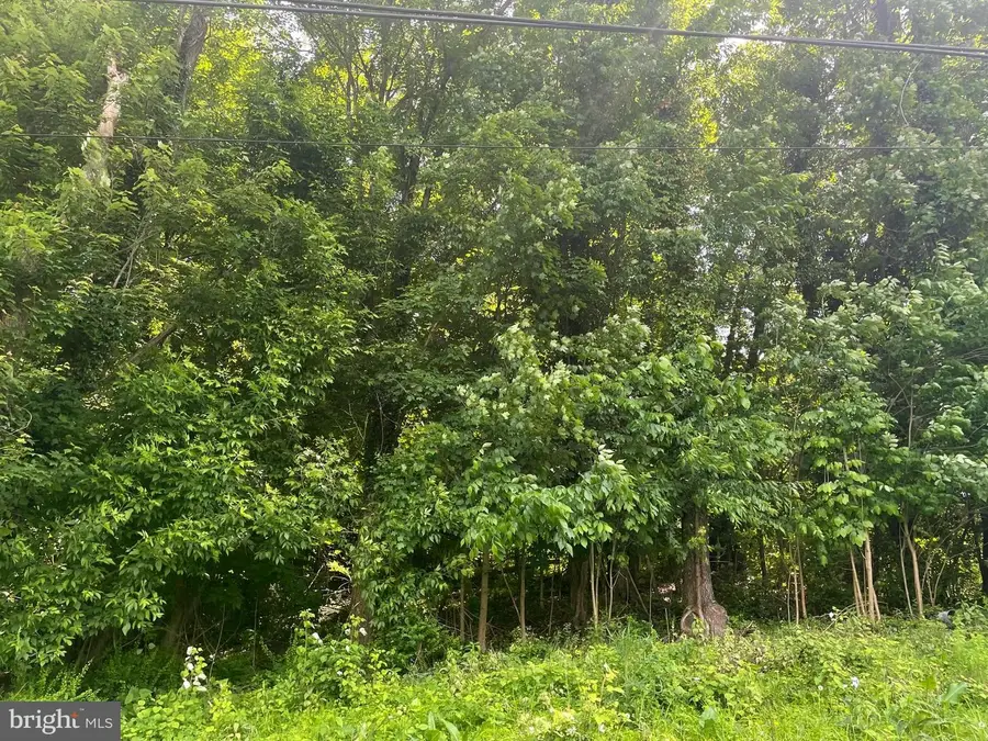 Miller Rd, Ridgeley, WV 26753 - #3