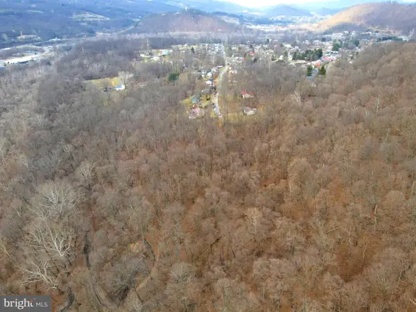 Lot B & Lot E S. Virginia Avenue, RIDGELEY, WV 26753