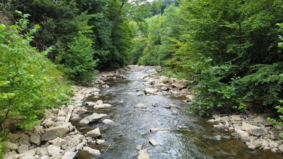 Oakmont Drive, Elk Garden, WV 26717 - #3