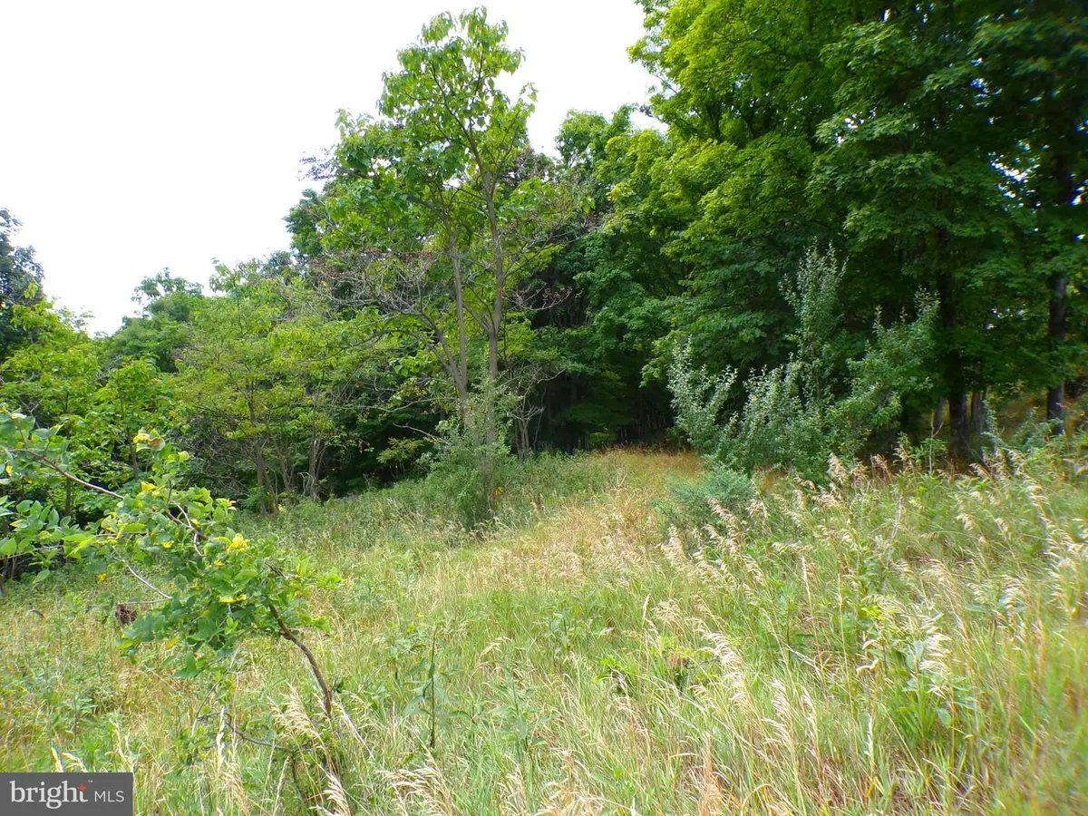 10.1 Ac Waxler Road, Keyser, WV 26726 - #1