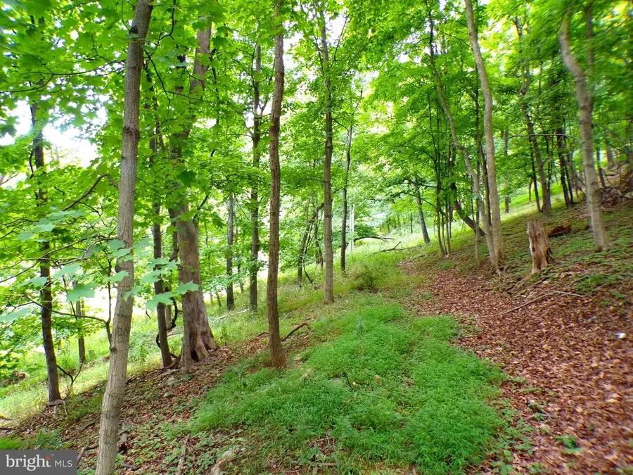 10.1 Ac Waxler Road, Keyser, WV 26726 - #3