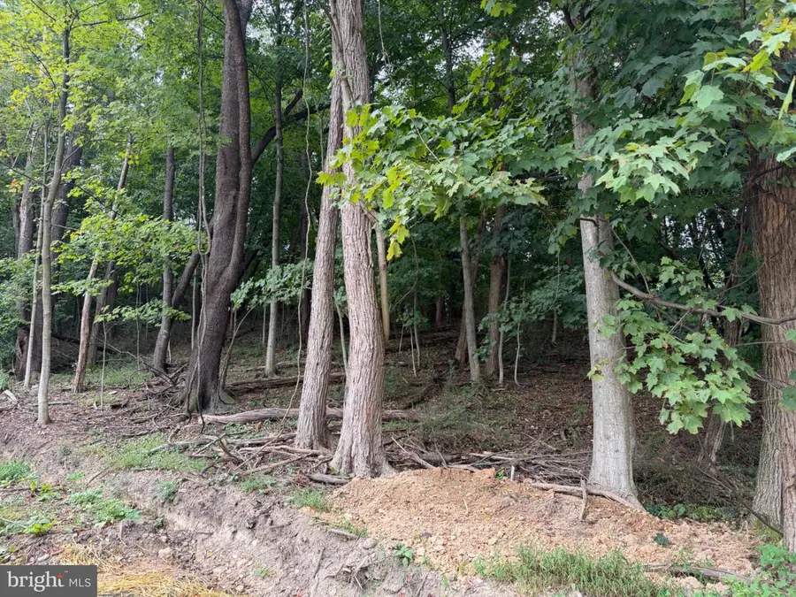 1151 Miller Rd, Ridgeley, WV 26753 - #2