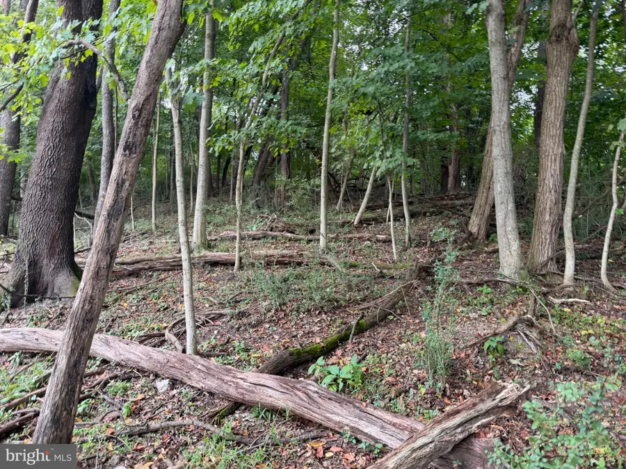 1151 Miller Rd, Ridgeley, WV 26753 - #3