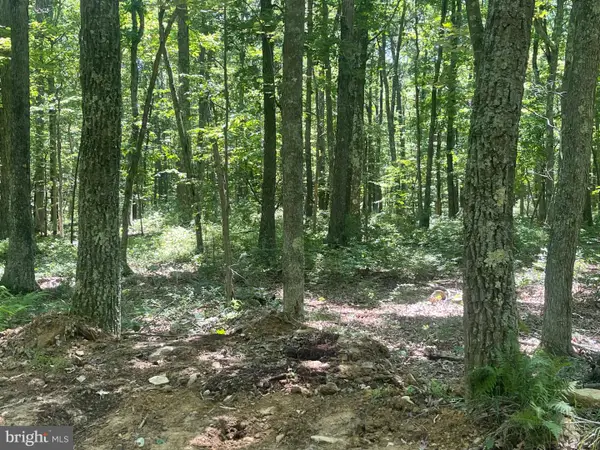 0 Schell Rd, ELK GARDEN, WV 26717