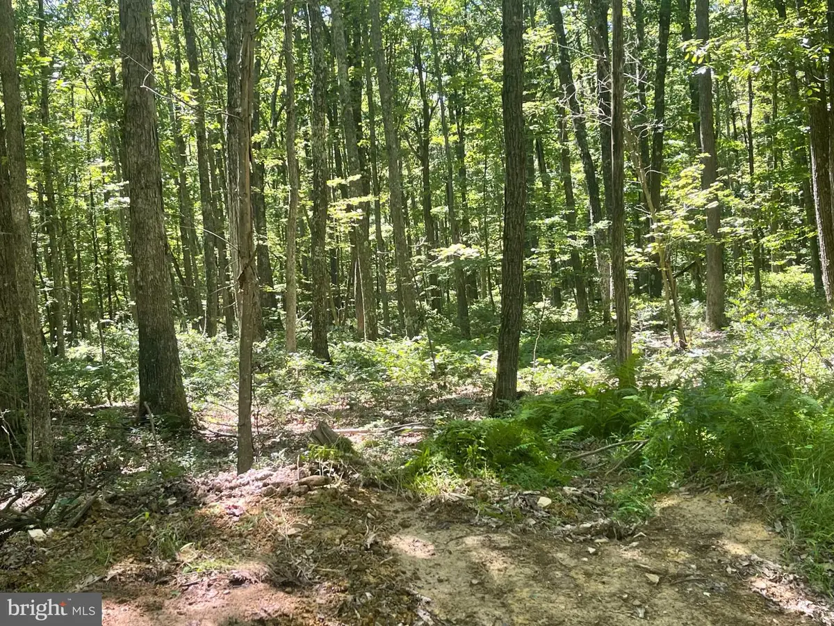 Upper Abrams Creek Rd, Elk Garden, WV 26717 - #1