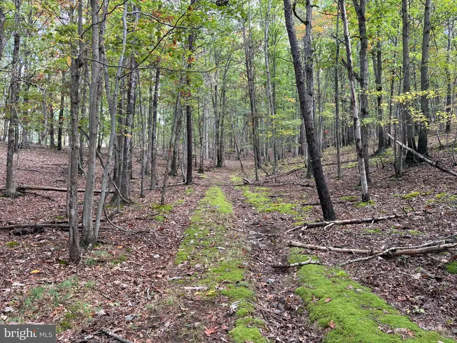 49.76 Acres Off Dans Run Rd, Fort Ashby, WV 26719 - #2