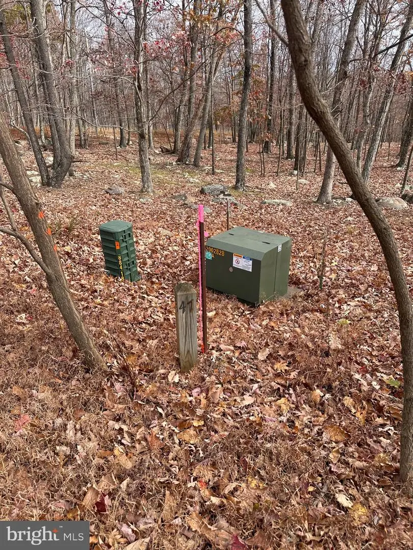 518 Parkside Ter, Berkeley Springs, WV 25411 - Image #2