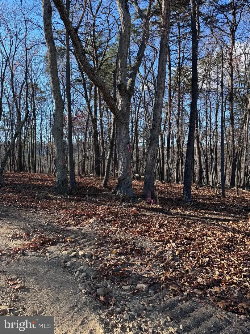 Young Ln #10, Berkeley Springs, WV 25411 - Image #2