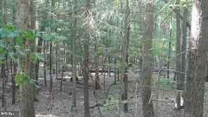 Calypso Trail, Great Cacapon, WV 25422 - Image #3