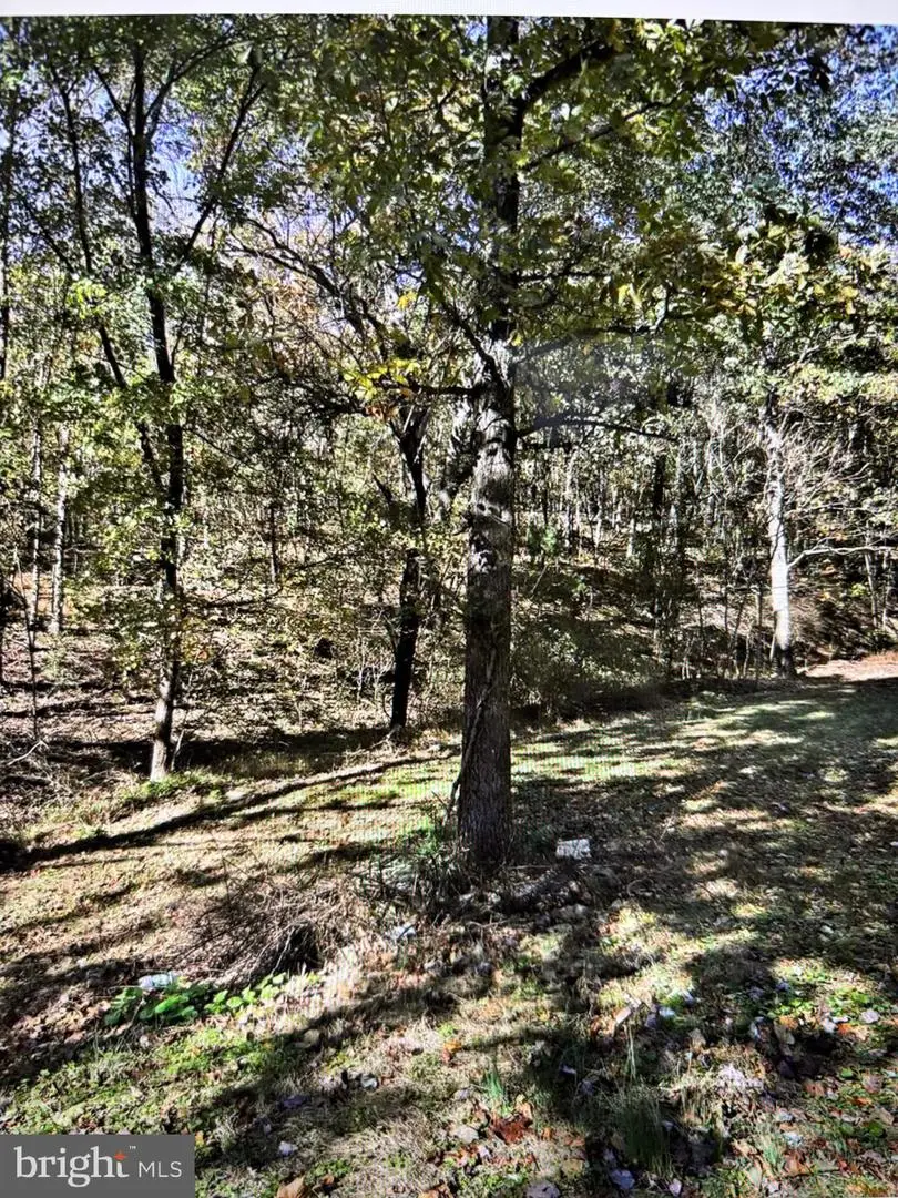 240 Jewel Ln, Berkeley Springs, WV 25411 - Image #2