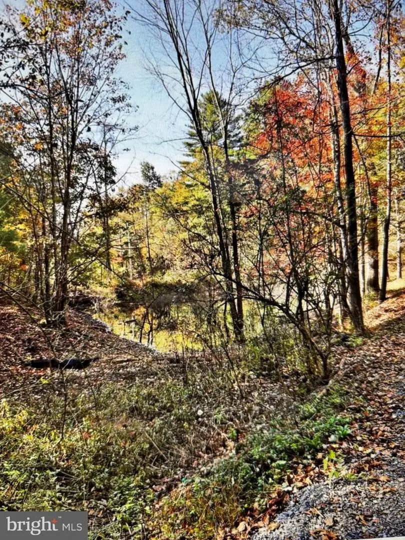 240 Jewel Ln, Berkeley Springs, WV 25411 - Image #3