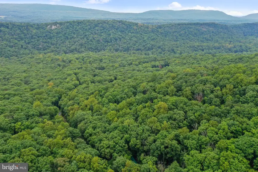 333 Rouse Mountain Rd, Great Cacapon, WV 25422 - Image #2