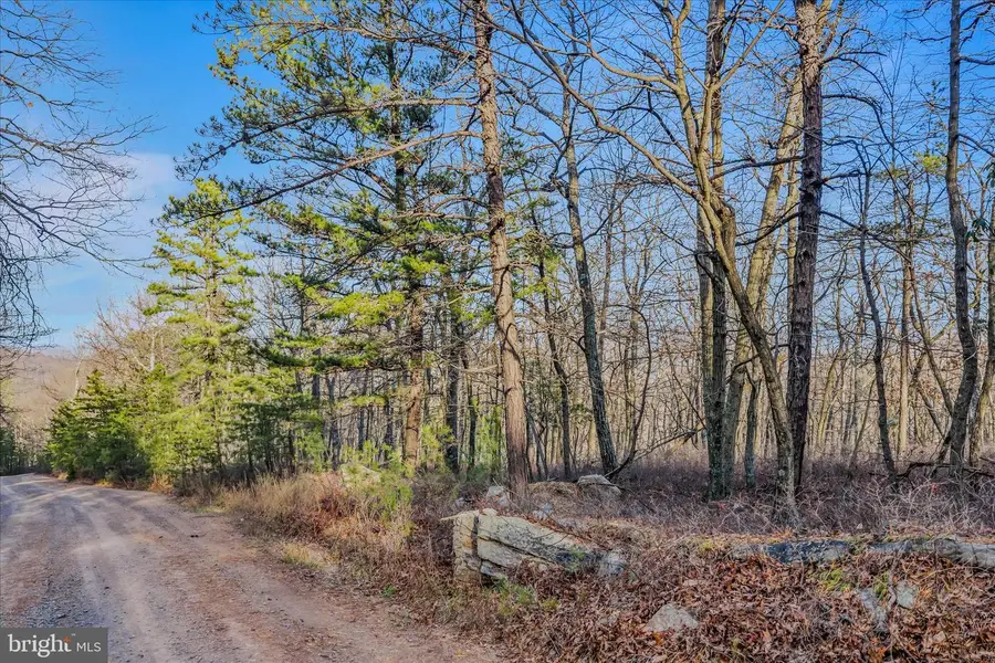 Lot 38-sec V, Breakeven Ln, Berkeley Springs, WV 25411 - Image #3