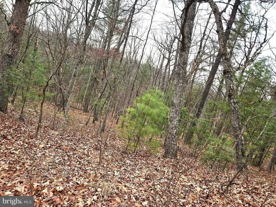 Lot 35 Oak Hill Rd, Berkeley Springs, WV 25411 - Image #3
