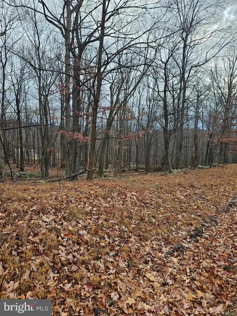 Parkside Terrace, Berkeley Springs, WV 25411 - Image #1