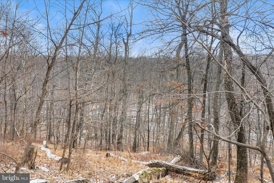 448 Maverick Trail, Hedgesville, WV 25427 - Image #3